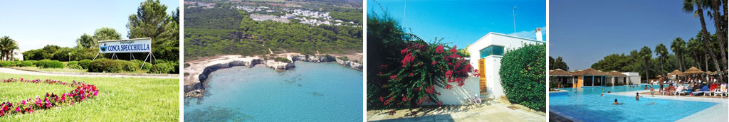 Villaggio turistico:piscina, animazione e negozi